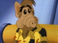 ALF (The Animated Series)