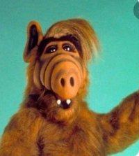 Image ALF (The Animated Series)