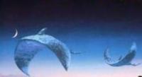 Image Skywhales