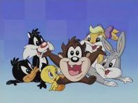 Baby Looney Tunes