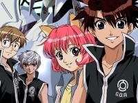 Candidate for Goddess (Megami Kōhosei)