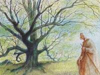 L'Homme qui plantait des arbres (The Man Who Planted Trees)