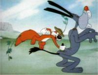 Image Casse-noisettes, l'écureuil fou (Screwball Squirrel)