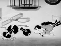 The Bird Store (Silly Symphonies)