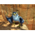 Drôles d'oiseaux