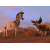 Khumba
