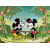 Le Monde Merveilleux de Mickey (The Wonderful World of Mickey Mouse)