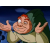 Le secret du Bossu de Notre-Dame (The Secret of the Hunchback)