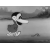 Le vilain petit canard (n°1 - Silly Symphonies)