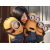 Les Minions (Minions)