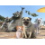 Mike, une vie de chien (Mighty Mike) - 2019