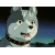 Silver Fang (Ginga Nagareboshi Gin)