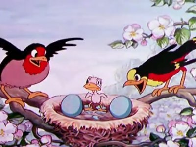 Dessins Animés : Birds in the Spring (Silly Symphonies)