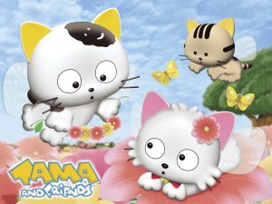 Dessins animés : Tama et ses Amis (Sanchome no Tama: Uchi no Tama Shirimasenka?)